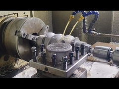 Berstoff Twin Screw Extruder Screw Segments and Barrel